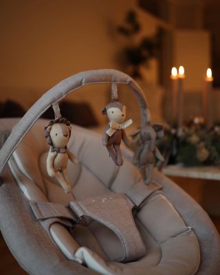 S lehátkom Nuna Leaf Grow bude vaše dieťatko nadšené z príjemného a upokojujúceho hojdania už od narodenia 👶🏼 Vďaka...