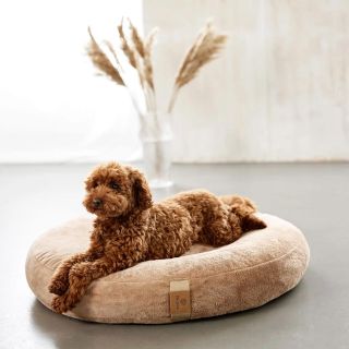 Pelechy Palopa pre vášho domáceho miláčika ✨ Moderný nadýchaný pelech s ergonomickým matracom a vysokou úrovňou komfortu 🦮...